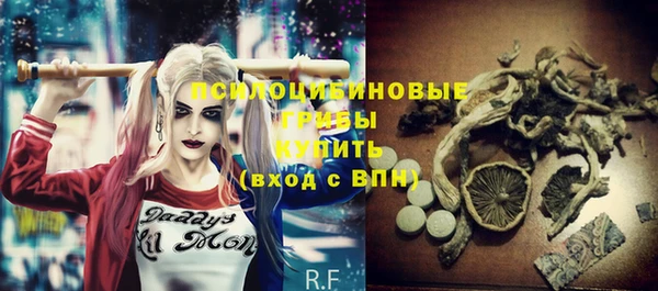дмт Алексеевка
