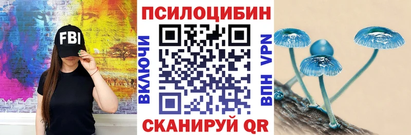 наркошоп  mega как войти  Псилоцибиновые грибы прущие грибы  Осинники 